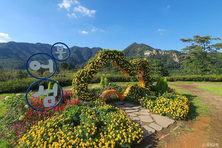 [팔도장터열차] 4월 15일(수) 진안 마이산 벚꽃 / 임실 옥정호+붕어섬