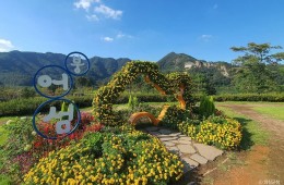 [팔도장터열차] 4월 15일(수) 진안 마이산 벚꽃 / 임실 옥정호+붕어섬