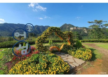 [팔도장터열차] 4월 15일(수) 진안 마이산 벚꽃 / 임실 옥정호+붕어섬