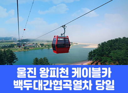 [경상권/충청권/수도권출발] 울진 왕피천 케이블카&백두대간 협곡열차(당일)