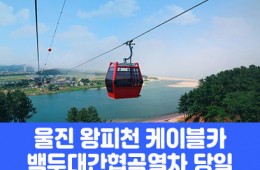 [경상권/충청권/수도권출발] 울진 왕피천 케이블카&백두대간 협곡열차(당일)