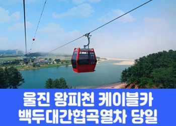 [경상권/충청권/수도권출발] 울진 왕피천 케이블카&백두대간 협곡열차(당일)
