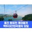 [경상권/충청권/수도권출발] 울진 왕피천 케이블카&백두대간 협곡열차(당일)