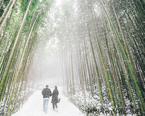 [KTX용산역/광명역-1박]전남 대표 관광지! 담양+순천으로 떠나는 별미여행