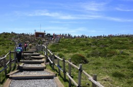 [6식제공]항공 - 제주도 가고싶다!! 한라산 등반 여행( 2박3일)