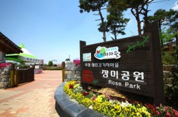 ♥봄꽃♥[KTX+버스]곡성 세계장미축제+전주한옥마을