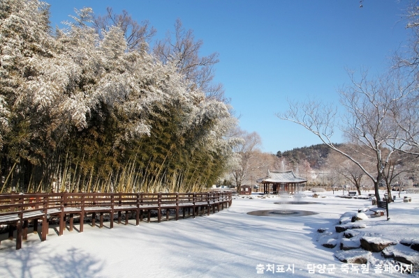 [KTX-당일]강력추천! 보성+담양 남도대표 관광 일번지