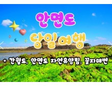 무궁화호 - 안면도 & 간월도 & 자연 휴양림 & 꽃지해변 여행(당일)