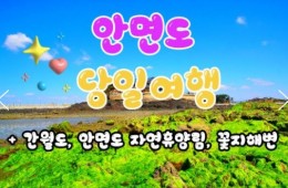 무궁화호 - 안면도 & 간월도 & 자연 휴양림 & 꽃지해변 여행(당일)
