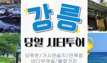 [KTX서울역/청량리역] 천년의 도시! 강릉명소(오죽헌/경포호수/안목항/바다부채길) 당일치기여행