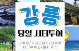 [KTX서울역/청량리역] 천년의 도시! 강릉명소(오죽헌/경포호수/안목항/바다부채길) 당일치기여행