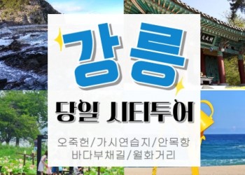 [KTX서울역/청량리역] 천년의 도시! 강릉명소(오죽헌/경포호수/안목항/바다부채길) 당일치기여행