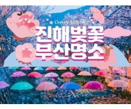 KTX - 진해벚꽃 * 군항제 & 부산 명소 탐방 & 해운대 해변열차 여행 (1박2일)