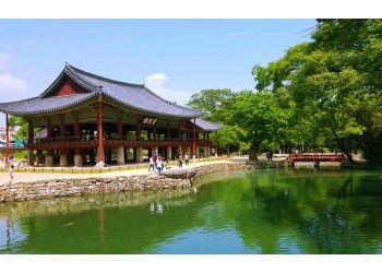 [이트레인]3월7일(토)- 광양 매화 당일-★출발확정★