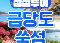 [KTX] 섬섬투어(금당도 해상투어+수국 쑥섬)&팔영산 치유의 숲 1박2일 기차여행-4식