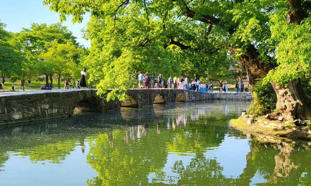 [국악와인열차] 5월 3일 남원 춘향제+광한루원 / 지리산 바래봉철쭉제+허브밸리
