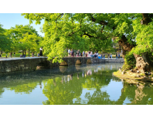 [국악와인열차] 5월 3일 남원 춘향제+광한루원 / 지리산 바래봉철쭉제+허브밸리