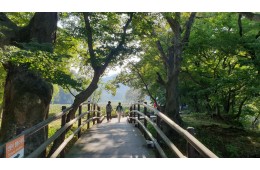 [국악와인열차] 10월 3,4일 정읍 내장산 수목원 / 고창 선운사 상사화