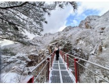 [국악와인열차] 2월 24일 완주 대둔산 케이블카+안심사 / 영동 와이너리