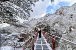 [국악와인열차] 2월 24일 완주 대둔산 케이블카+안심사 / 영동 와이너리