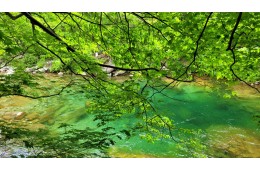 [국악와인열차] 7월 4,26일 남원 지리산 뱀사골 / 허브밸리 라벤더
