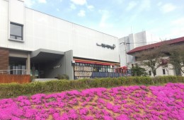 [국악와인열차] 3월 21일 고창 선운사 동백꽃 / 정읍사 문화공원+정읍시립미술관