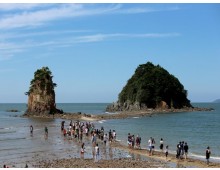 [국악와인열차] 5월 17일 2026 태안 국제원예치유박람회 / 상화원 / 대천해수욕장