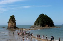 [국악와인열차] 5월 17일 2026 태안 국제원예치유박람회 / 상화원 / 대천해수욕장