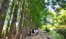 [국악와인열차] 7월 25일 익산 아가페정원+미륵사지 / 완주 동상계곡 여름피서