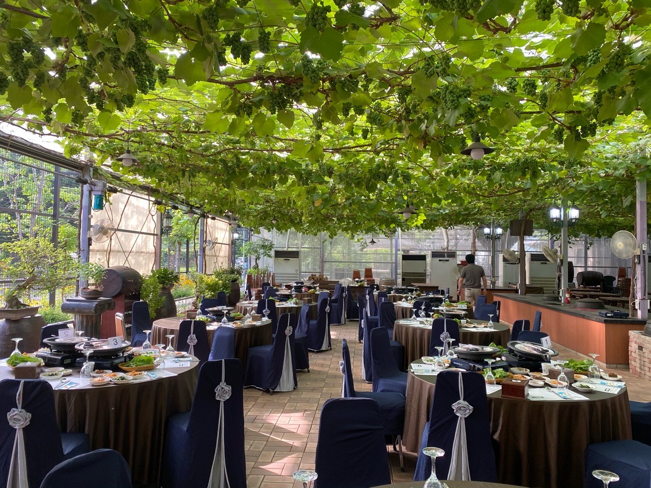 [팔도장터열차] 4월 11일(토) 영동 와이너리 투어 / 김천 직지사 벚꽃