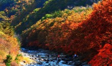 [ITX청춘] 양구 DMZ 두타연 평화누리길 가을 하루 기차여행