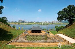 [팔도장터열차] 6월 27일(토) 공주 유구 색동수국정원 / 계룡산 동학사