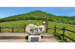 [ITX-청춘/1박2일] 4~10월(8월제외) 인제 곰배령 힐링트레킹+속초 ★사전예약할인★