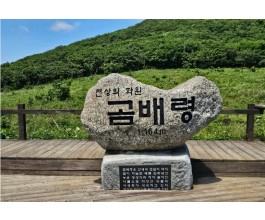[ITX-청춘/1박2일] 4~10월(8월제외) 인제 곰배령 힐링트레킹+속초 ★사전예약할인★