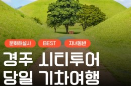 [KTX서울역/광명역/대전역] 경주 세계문화유산 시티투어 여행(당일)-태종무열왕릉/불국사/천마총/석굴암/분황사