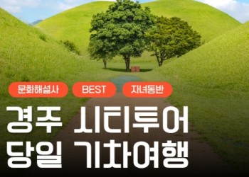 [KTX서울역/광명역/대전역] 경주 세계문화유산 시티투어 여행(당일)-태종무열왕릉/불국사/천마총/석굴암/분황사