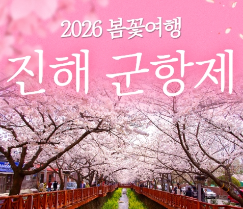 [KTX] 2026 진해 군항제 당일 벚꽃 기차여행 (여좌천 해군사관학교 제황산)