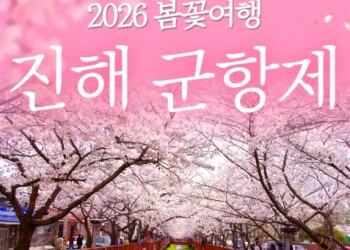 [KTX] 2026 진해 군항제 당일 벚꽃 기차여행 (여좌천 해군사관학교 제황산)