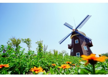 KTX- 전라남도 별미 구석구석 & 담양,보성,남해,여수.순천 여행(2박3일)