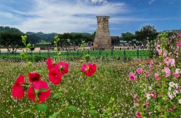 SRT [5월 연휴특선] 부울경 삼색기행 2박3일-경주/부산/울산 -울산 호텔 다움 2박