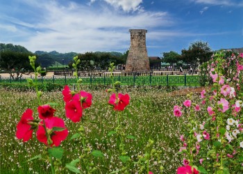 SRT [5월 연휴특선] 부울경 삼색기행 2박3일-경주/부산/울산 -울산 호텔 다움 2박