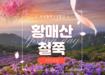 KTX - 국내 철쭉 3대 명산! 황매산 철쭉 & 함양상림숲 여행(당일)