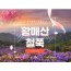 KTX - 국내 철쭉 3대 명산! 황매산 철쭉 & 함양상림숲 여행(당일)