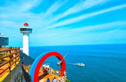 [경상권/충청권출발]★부산1코스★태종대&송도해수욕장(당일)