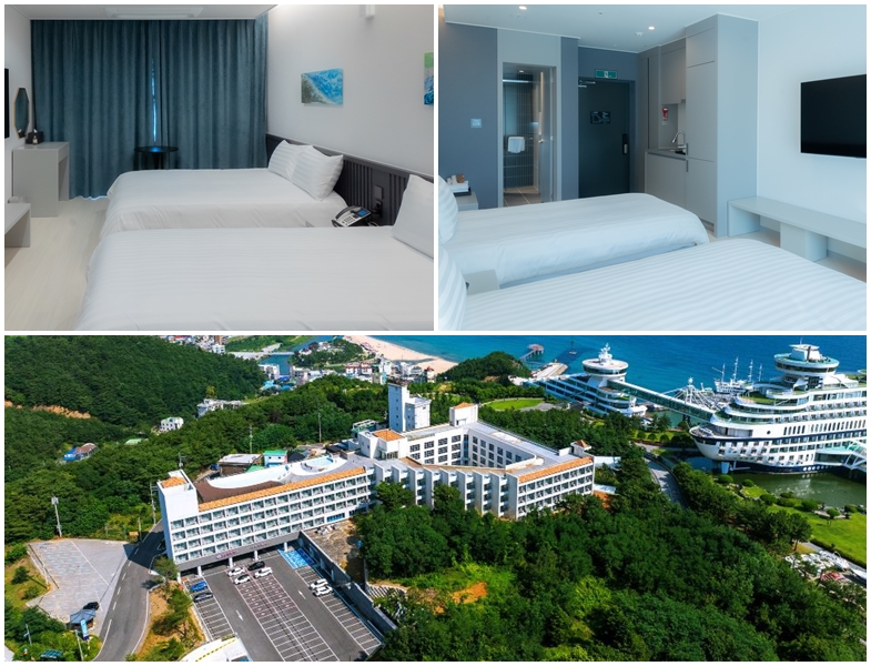 [KTX]태백눈꽃*동해바다*정동진 솔라뷰 1박2일 (1/31, 2/7)