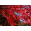 KTX 내장산 단풍 ◈전라별미기행◈ 1박2일(군산*장항*전주*정읍*고창) @전주 시그니처 호텔