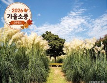 ◆가을맞이◆[무궁화호]꽃물결 태안 청산수목원+간월암+예산시장