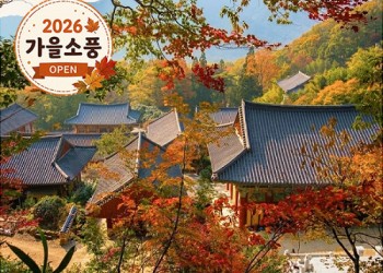 ◆가을맞이◆[KTX-2박]지리산을 내 품 안에! 하동+남원+함양+산청+진주