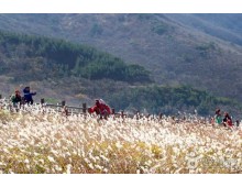 ◆가을맞이◆[KTX-1박]걷기 좋은 길! 억새천국 간월재+슬도해안둘레길