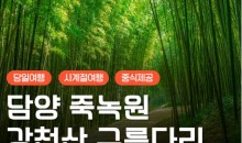 [KTX대전]담양죽녹원 & 메타세콰이어 & 강천산 구름다리 (당일)-8명부터